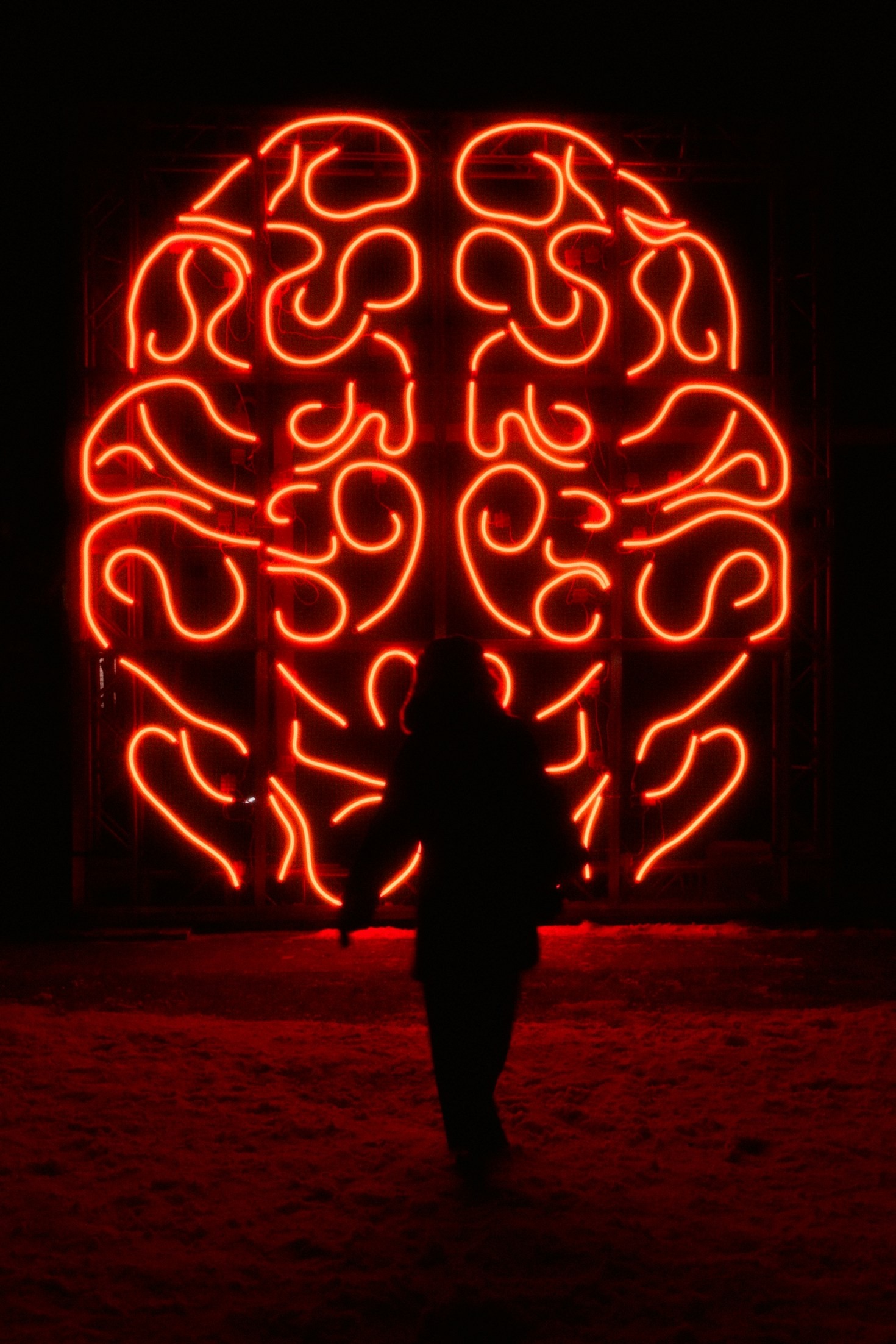 Exploring AI’s Impact on Learning Behaviors